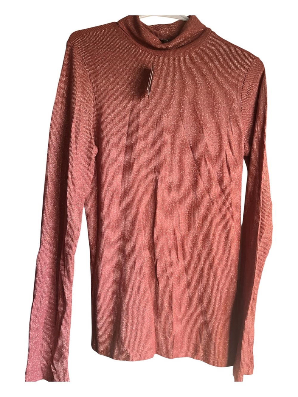 Express Metallic Rose Turtleneck Sweater